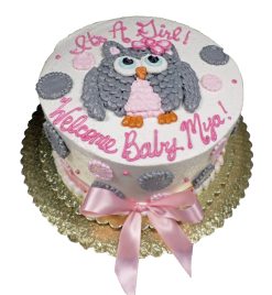 Baby Shower Cake 11