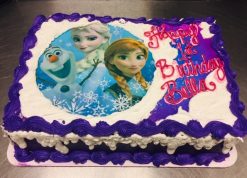Kids and Character Cake 17 - Frozen #4976