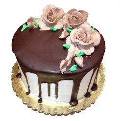 Simply Aggies Cake 19