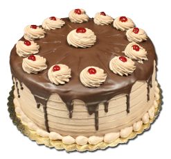 Aggies Chocolate Raspberry Torte